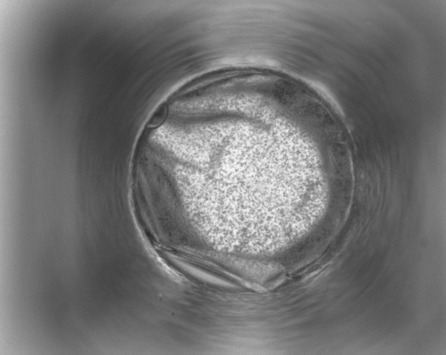 X0000069410895200605262206