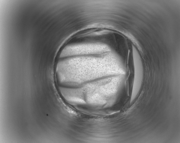 X0000069410896200605262206