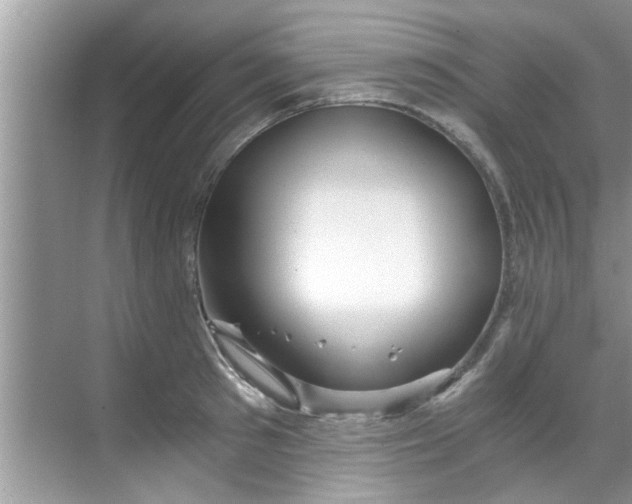 X0000069410897200605262206