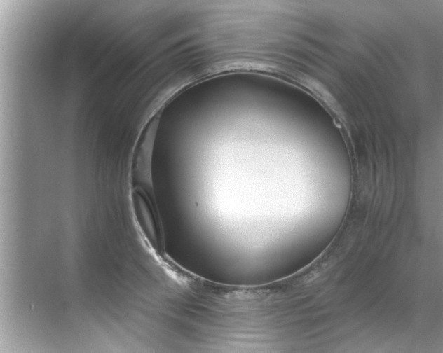 X0000069410898200605262206