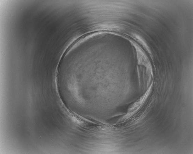 X0000069410899200605262206