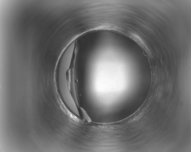 X0000069410900200605262206