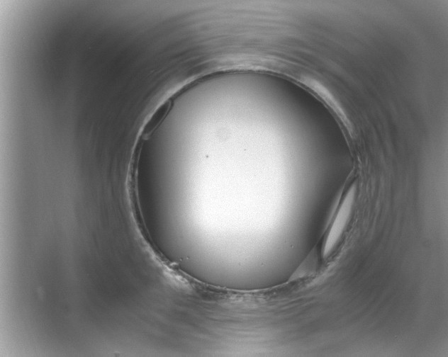 X0000069410901200605262206