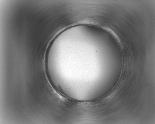 X0000069410902200605262206