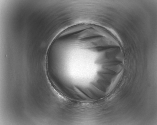 X0000069410903200605262206