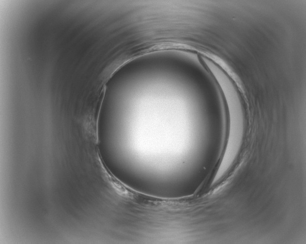 X0000069410905200605262206