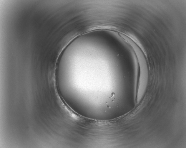 X0000069410906200605262206