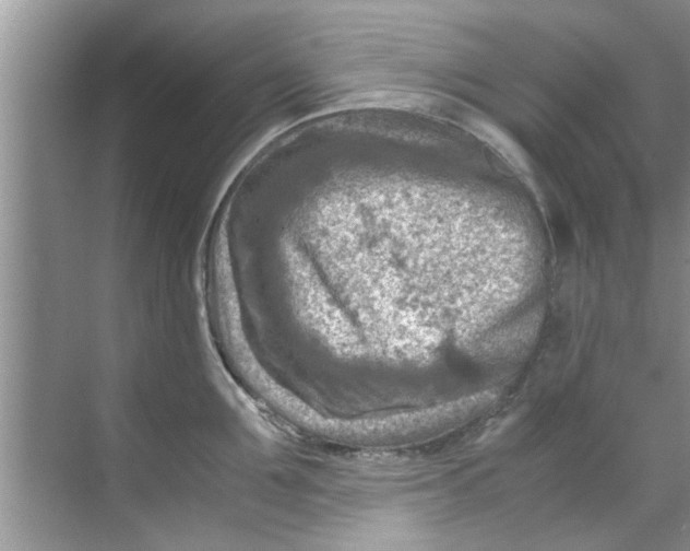 X0000069410907200605262206