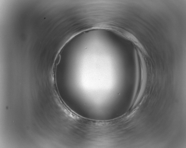 X0000069410908200605262206