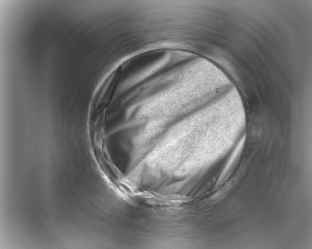 X0000069410910200605262206