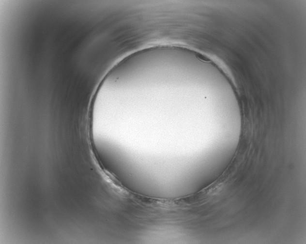 X0000069410911200605262206