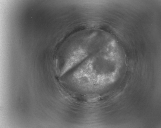 X0000069410913200605262205