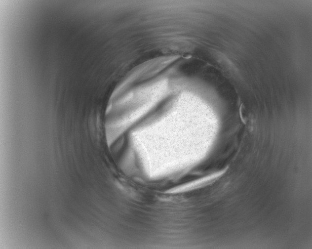 X0000069410915200605262205