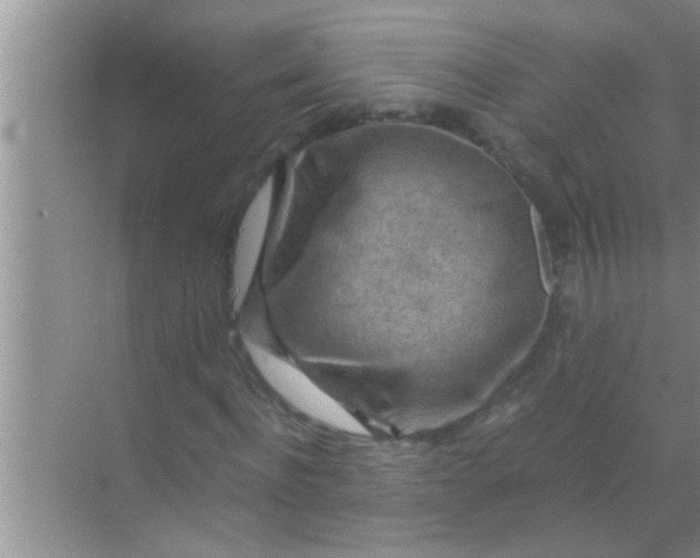 X0000069410916200605262205