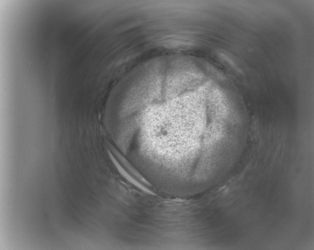 X0000069410917200605262205