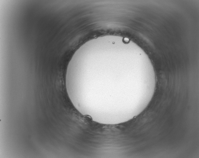 X0000069410918200605262205