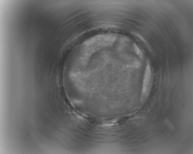 X0000069410919200605262205