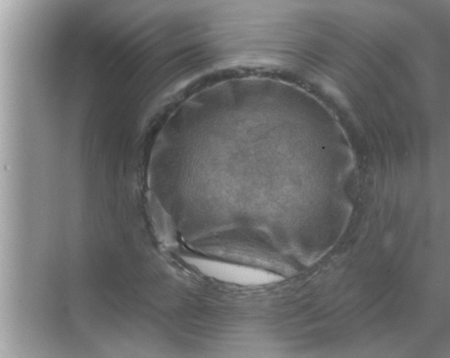 X0000069410920200605262205