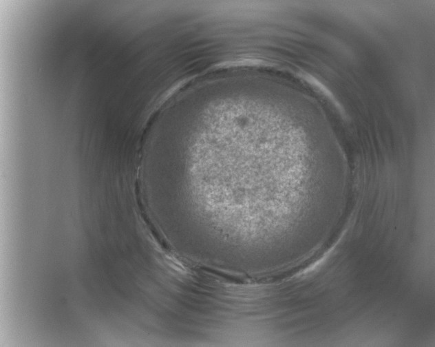 X0000069410921200605262205