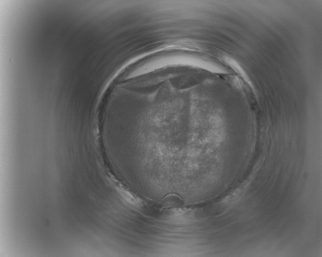 X0000069410923200605262205