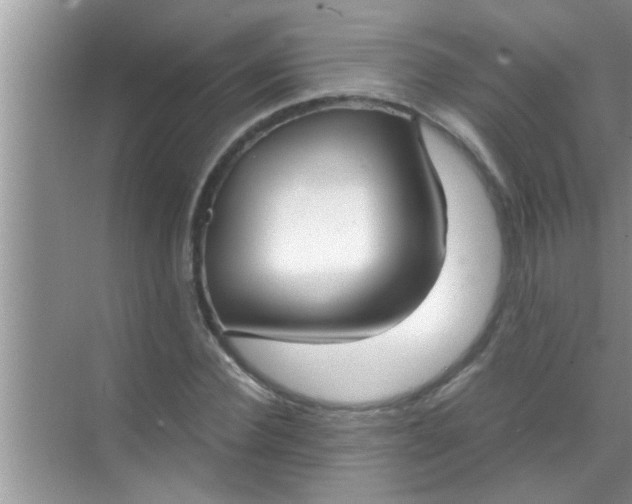 X0000069410924200605262205