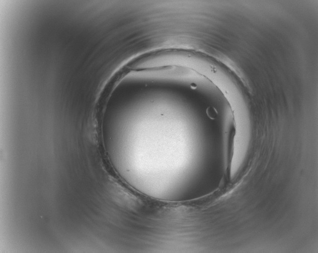 X0000069410926200605262205