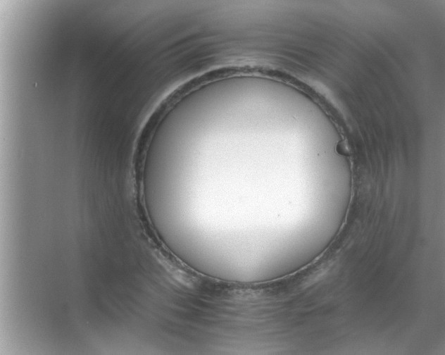 X0000069410927200605262205