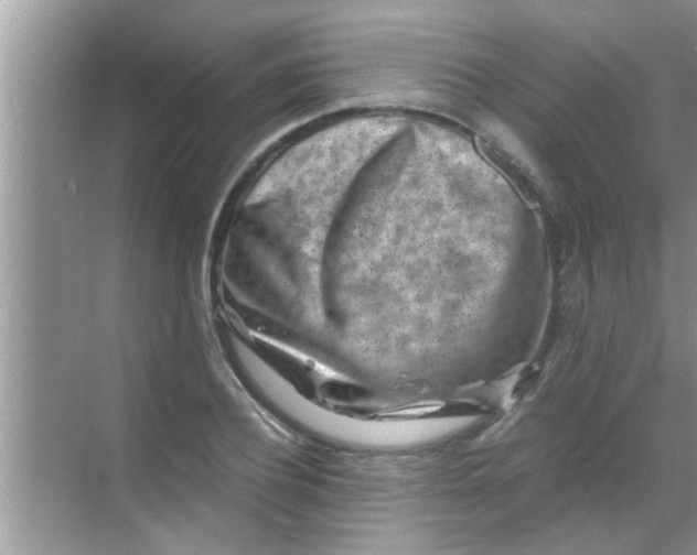 X0000069410932200605262205