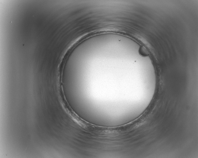 X0000069410933200605262205