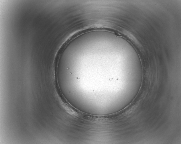 X0000069410934200605262205