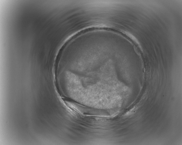 X0000069410935200605262205