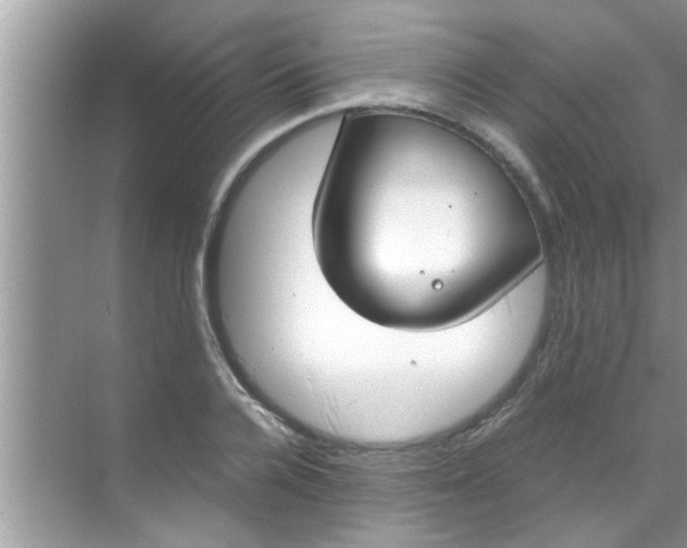 X0000069410936200605262205