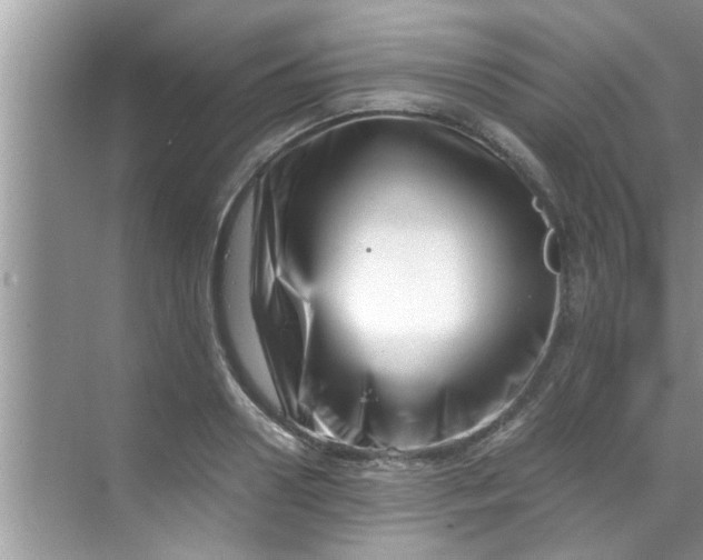 X0000069410938200605262205