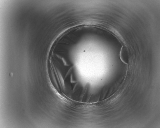 X0000069410939200605262205