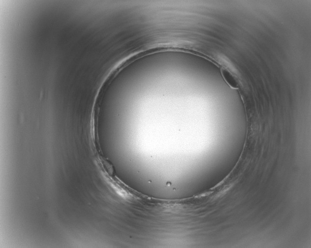 X0000069410940200605262205