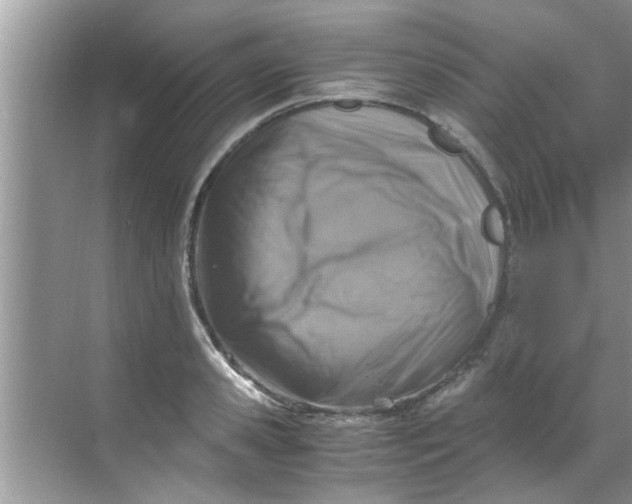 X0000069410941200605262205