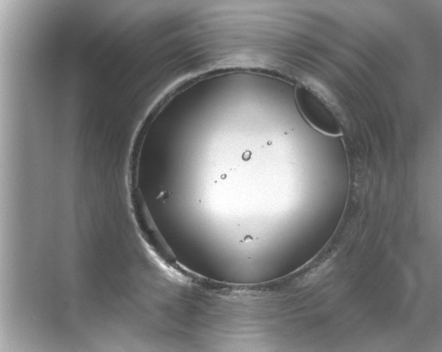 X0000069410942200605262205