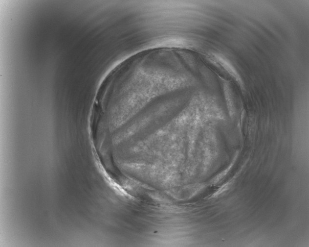 X0000069410944200605262205