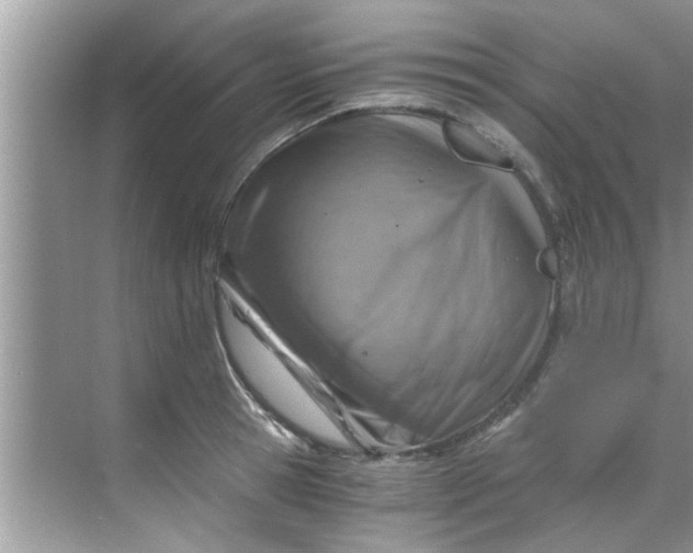 X0000069410945200605262205