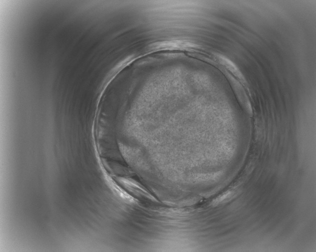 X0000069410946200605262205