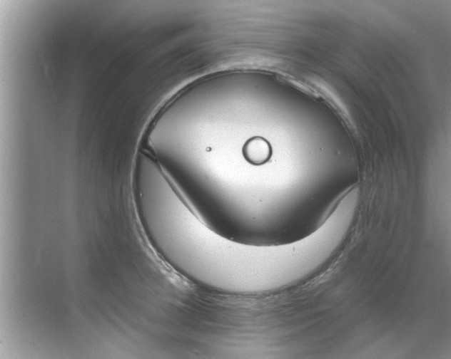 X0000069410948200605262205