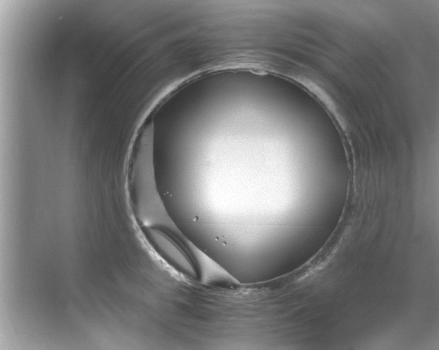 X0000069410949200605262205