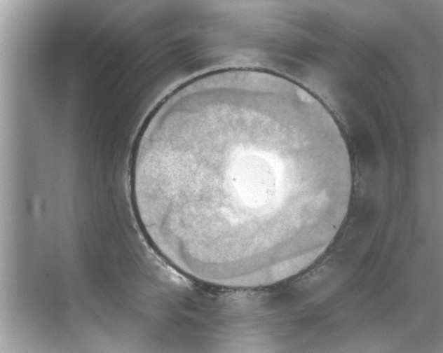 X0000069410950200605262205