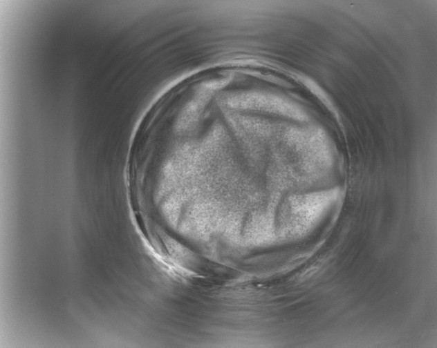 X0000069410951200605262205