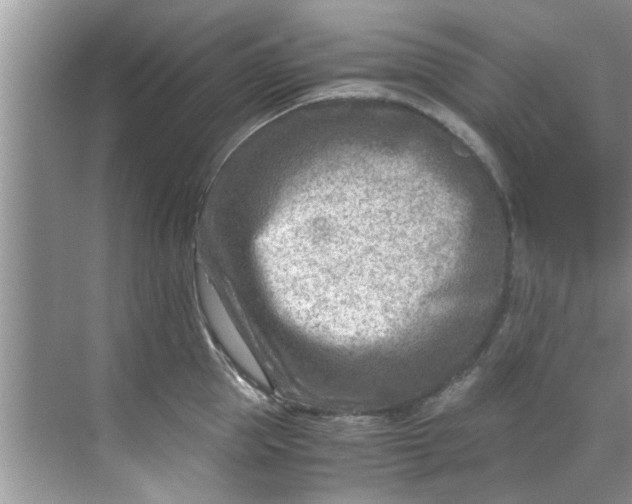 X0000069410953200605262205