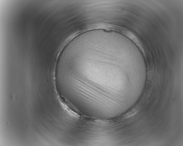 X0000069410954200605262205