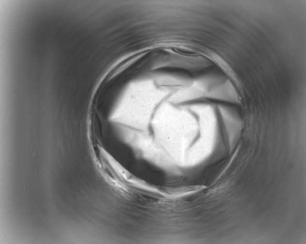 X0000069410955200605262205