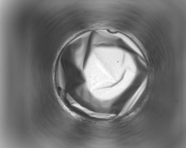 X0000069410957200605262205