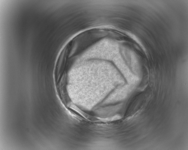 X0000069410959200605262206