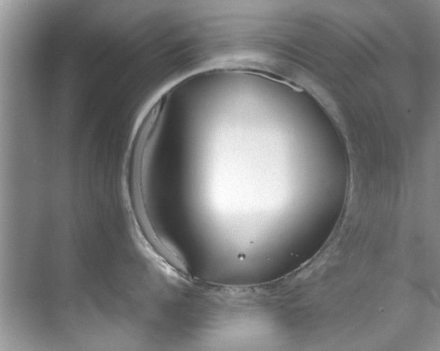 X0000069410960200605262206